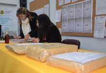 Vialidad licitó obras en caminos rurales del partido y se interesaron cuatro empresas