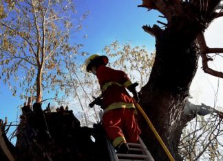 Bomberos en acción