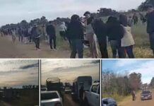 Desarticulan carrera de caballos ilegal