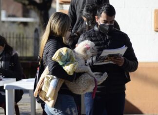 Nuevo Operativo de Castración y Vacunación contra la Rabia en Suipacha