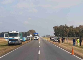 Ruta 5: Reparaba su auto en la banquina y fue rozado por camión