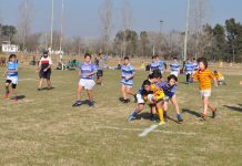 Mercedes Rugby Club tuvo un encuentro regional de Infantiles
