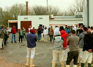 JUNTOS visitó el Matadero Municipal
