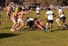 Mercedes Rugby Club dejó su invicto ante Los Cedros