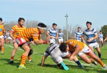 Mercedes Rugby Club no detiene su carrera de victorias