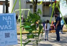 El OPDS realizó su aporte para un nuevo espacio verde en Mercedes