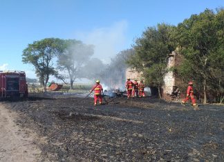 Incendio de campo en R. Baez