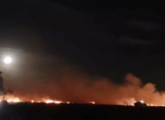Incendio de campo en Mercedes