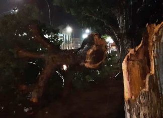 Inconvenientes por temporal