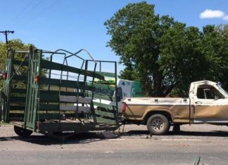 Violenta colisión sobre Ruta 5