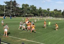 Mercedes Rugby Club eliminado en semifinales tras excelente campaña