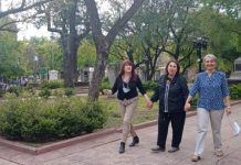 Nuevo programa en Radio Fénix