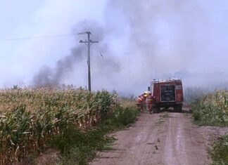 Incendios de campos