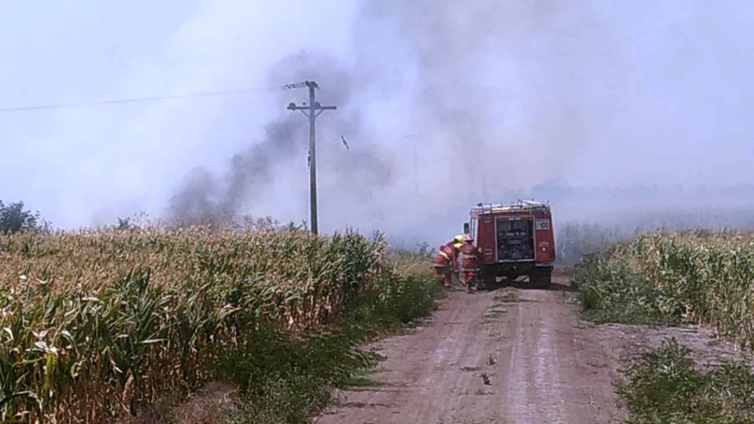 Incendio de campo 2