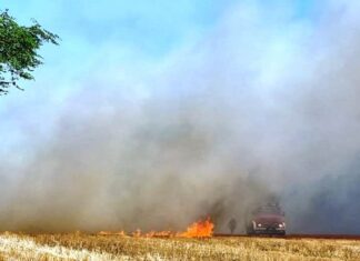 Incendio de campo