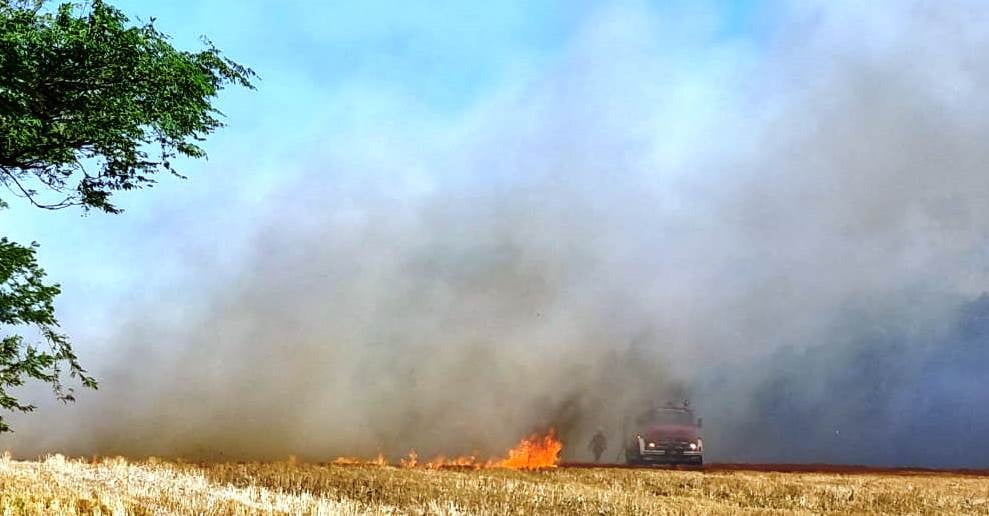Incendio de campo - Lasala 3