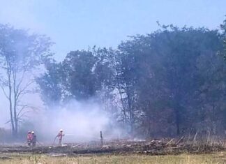 Incendio de campo y escape de gas en automóvil