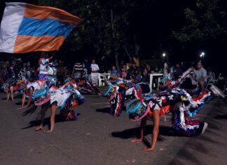 No tendremos Carnavales tampoco este año