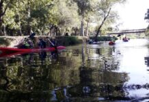 Se viene un fin de semana lleno de actividades de verano: juegos de agua y paseos en kayak en el Parque Municipal