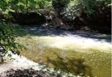 Mercedes, ¿y si contaminamos las aguas?