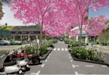 Anuncian licitación para la jerarquización del centro comercial