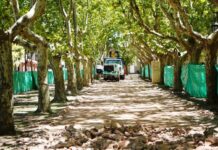 Destacan las obras de jerarquización en dos plazas de la ciudad