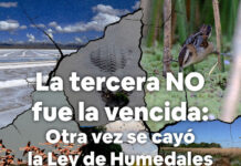 S. O. S. Hábitat insiste en el reclamo por la Ley de Humedales