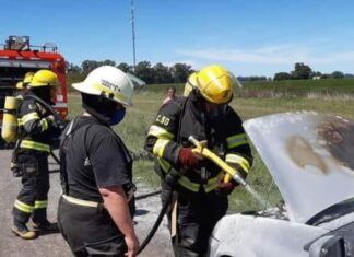 Incendio automotor sobre Ruta 5
