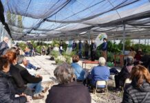 Más de 300 jubilados pudieron recorrer el Vivero Biotecnológico