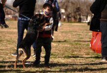 Concretarán nueva jornada de Adopción Animal