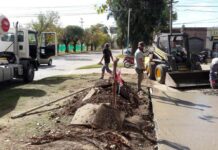 Informan sobre obras en Plaza San José