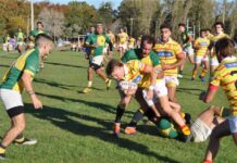 Nueva victoria de Mercedes Rugby Club para seguir puntero