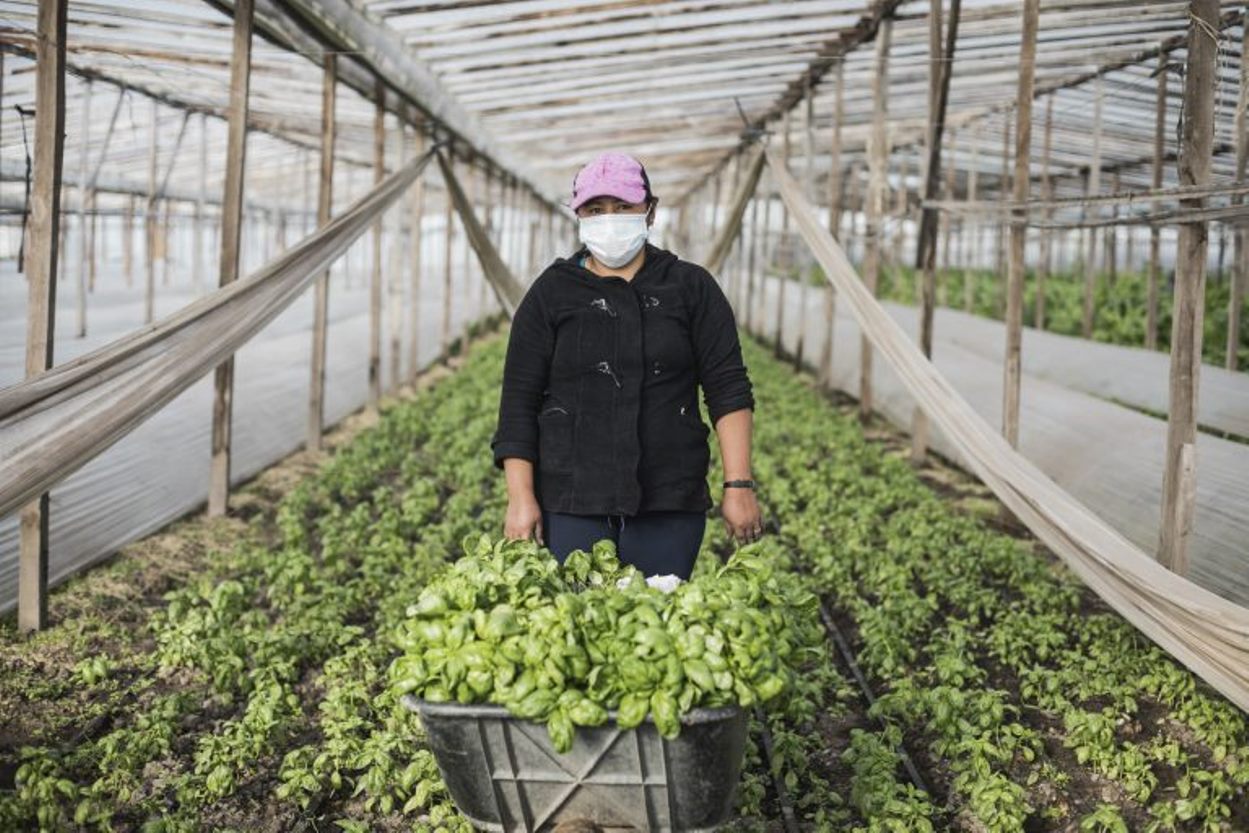 agroecologica