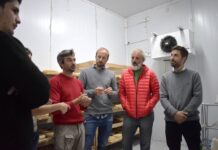 Avanza el Censo Productivo en Mercedes