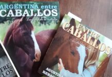 Agustina Rebagliatti y su mundo con los caballos
