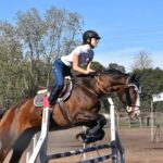 HIPISMO 1