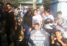 Exhibiciones y fecha para profesionales