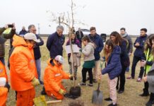 Continúa plan de forestación sobre rutas nacionales, entre ellas la 5