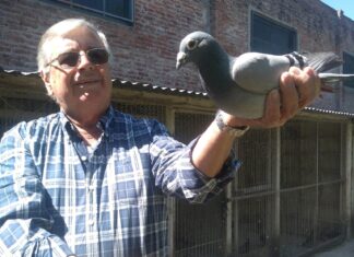 Alfredo Borgarelli triunfó en la 1ra. fecha de Alas Chivilcoyanas