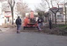 El Municipio lleva adelante tareas de poda correctiva