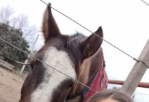 Taller con Caballos en Vacaciones de Invierno
