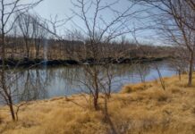 Comienzan a diseñar obra de un paseo ribereño