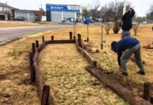 Realizan canteros en la rotonda de Avenida 1 y 40