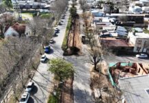 Importantes intervenciones en los canteros de Avenida 47