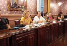 Juntos asegura que el decreto sería nulo por incompetencia del Ejecutivo