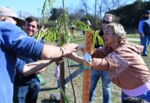 Municipio realiza acciones de forestación junto al Club de Leones