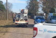 Fatal accidente: muere vecina al ser arrollada por vehículo municipal