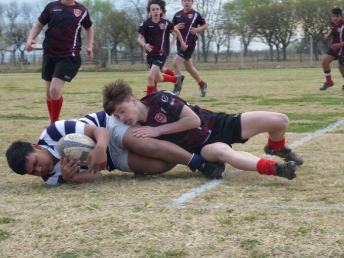 rugby-tapa