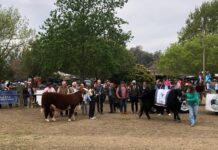 Volvió la Expo Rural de la gente