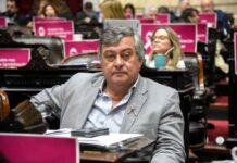 Selva busca que Diputados declare de interés libro sobre Malvinas